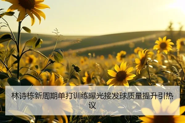林诗栋新周期单打训练曝光接发球质量提升引热议（HTHSportsapp）